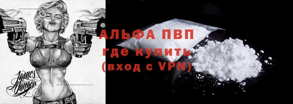 гидра Беслан