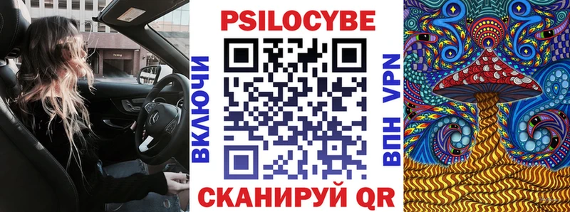 omg ONION  наркота  Усть-Илимск  Галлюциногенные грибы мицелий 