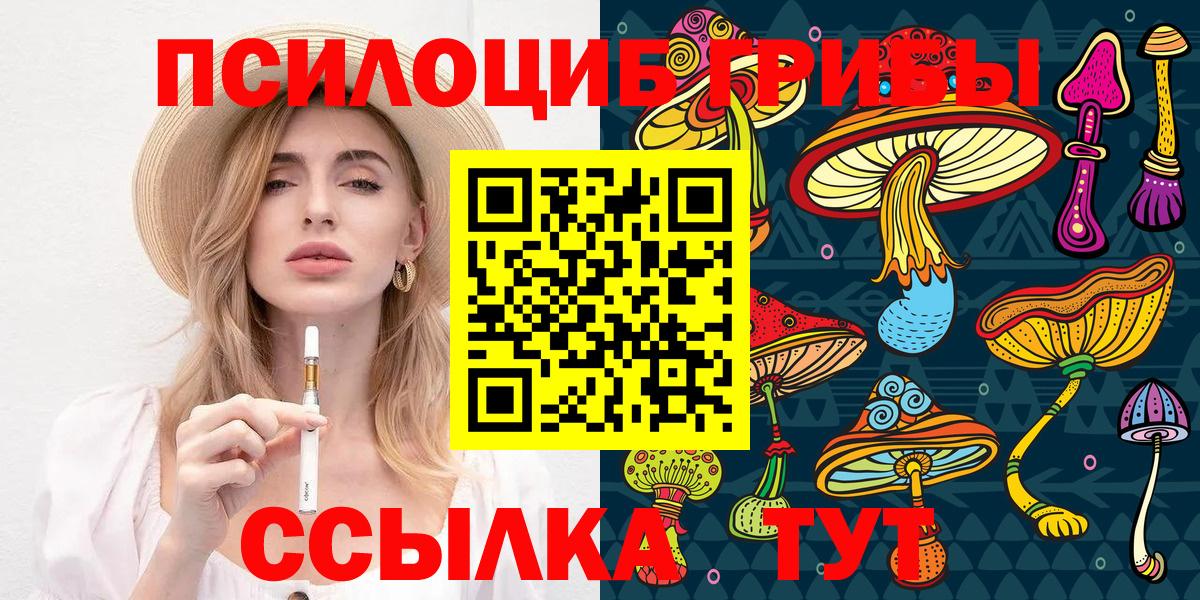 Псилоцибиновые грибы Psilocybine cubensis Усть-Илимск