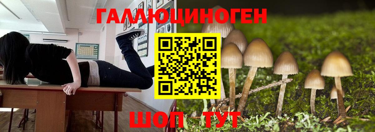 Галлюциногенные грибы Cubensis  Вход с VPN  Усть-Илимск  Псилоцибиновые грибы Psilocybine cubensis 